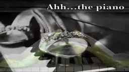 Pianist Fran Danis Princeton
