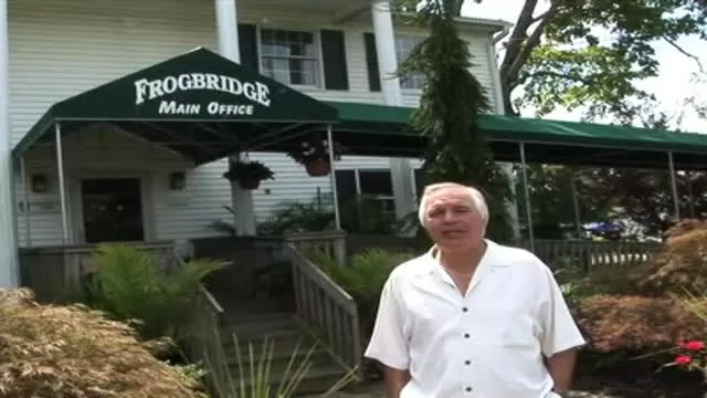 FROGBRIDGE
