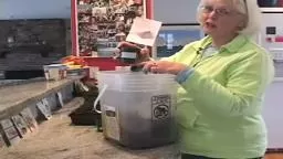 Indoor Seed Planting