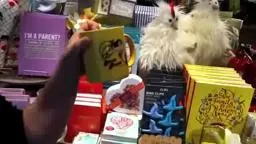 PaperSource Moms