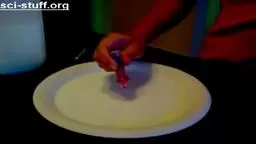 Cool Science - 6th Grade Science Project