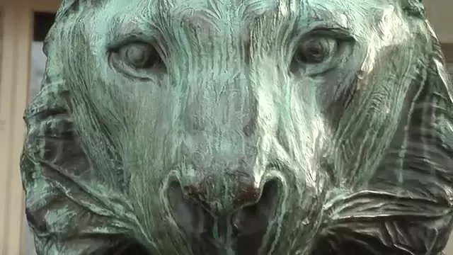 Year of the Tiger