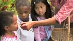 Princeton Day School - Our Garden, Our Carbon Footprint