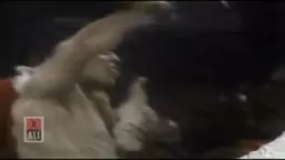 RumbleintheJungle MuhammadAli, Dr. of Humanities Princeton07