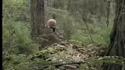 Amazing bird sounds (and a lot more!) from the lyre bird