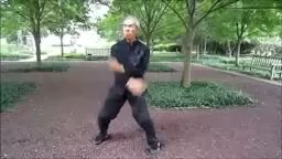 FiveAncestor Fist‬ Sifu Bonifacio Lim, Princeton area
