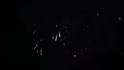 Fireworks Finale Reunions 2011.