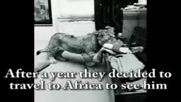Christian the Lion