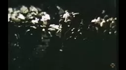 1939 Princeton Class Film