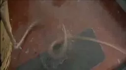 Jaws Scene Promo 1975 (Jaws written by Princeton's Benchley)
