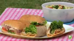 The Great American Family Picnic Food Ideas