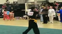 Wushu Princeton school location. Wushu in its Purest Form