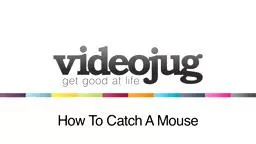How to Catch a Mouse.