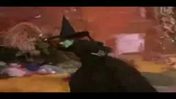 Wicked Witch Princeton