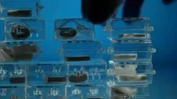 Better Batteries Princeton Professor