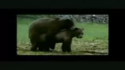 Hilarious Commercials (RATED R)
