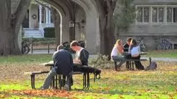 Princeton in Fall 'Color Play'