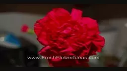 How to Make a Christmas Centerpiece with Fresh Flowers