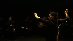 At McCarter 1/28 2012 7:30 SoledadBarrio & NOCHE FLAMENCO