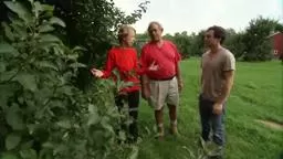 Terhune Orchards 'Farm to Fork New Jersey Apples'