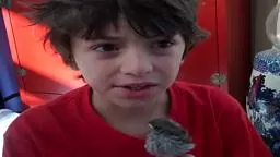 Orphan Sparrow