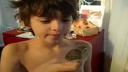 Little Orphan Sparrow 2