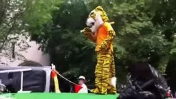 P-Rade Hold That Tiger Princeton University P-Rade