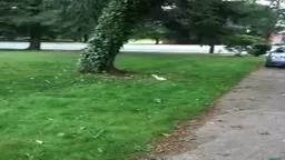 AlbinoSquirrel in Lawrenceville NJ