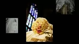 Princeton Wedding