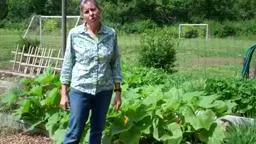 PDS Harvest Tips for the Garden 2012