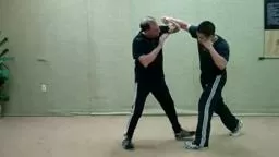 Sifu Rick Tucci, Counters to the Overhand Punch