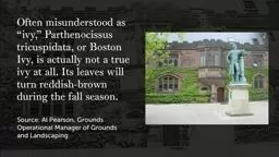 Ivy and Espalier Princeton University