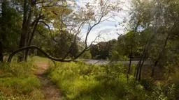 7Parks,15Minutes Princeton University