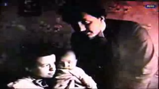 Einstein Revealed 1/4