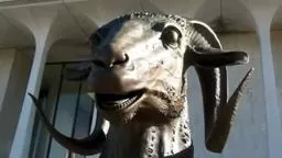 CircleOfAnimals/Zodiac Heads Princeton NJ