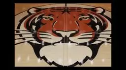Princeton Basketball Season!! Princeton vs. Northeastern