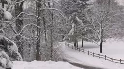 PrincetonDaySchool Happy Holidays