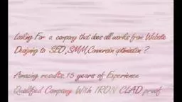 SEO Company