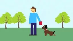 Learning about Dogs