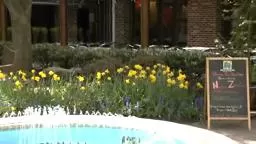 MediterraMother's Day Treat your Mom to a uniquely special day at Mediterra!
