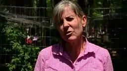 PDS HealthWellness Health, Wellness, and Sexuality Initiativ