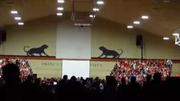 OldNassau Senior Step Sing