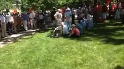 Reunions 2013 Princeton University