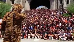 Reunions 2013 Princeton University