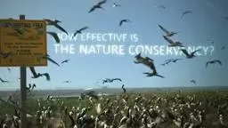 NatureConservancy Eno Terra Finalist for Sustainable award