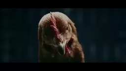 Magic Body Control