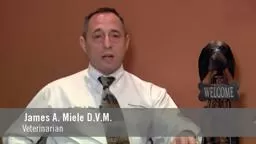 PrincetonAnimalHospital Video - Princeton, NJ