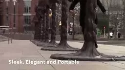 SoloWheelPrinceton