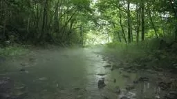 EnvironmentFilmFest PEFF Princeton 'OMG OMG'