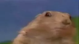 Dramatic Prarie Dog.